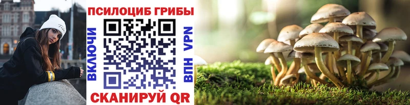 Галлюциногенные грибы Magic Shrooms  Купить где  Химки 